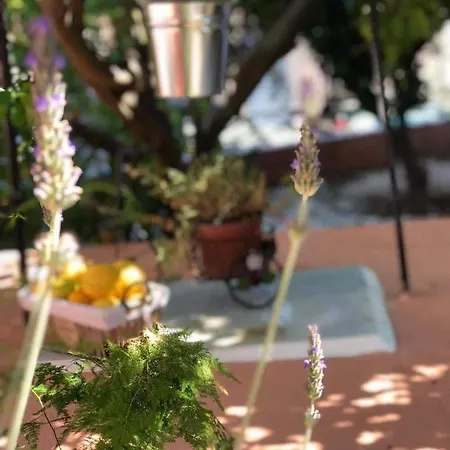 Titika Villa Argostoli (Kefalonia)